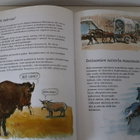 Sindt, Ulf : Intiaanit ja cowboyt - pikkukuva 4