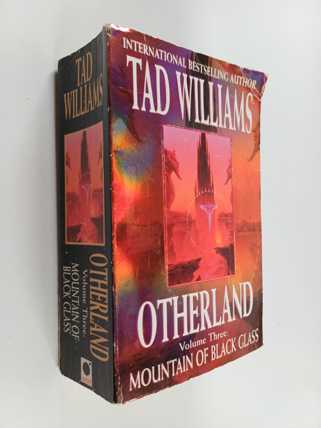 Tad Williams : Mountain of Black Glass