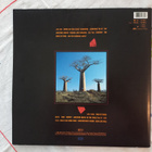 Tupla LP - Pink Floyd - pikkukuva 3