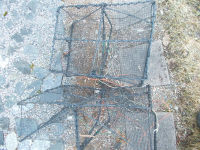 RAPUMERTA