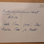 tytöt ja kissa heinärattaissa, käsipostia - pikkukuva 2