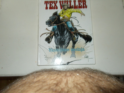 tex willer yksinäinen kostaja