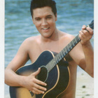 Postikortti ELVIS PRESLEY. - pikkukuva 1