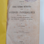 Utkast till Svenska Växternas Naturhistoria eller Sverige... - pikkukuva 3