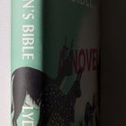Lydia Millet - A Children's Bible - pikkukuva 2