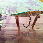 Kuha Painouistin 5,5cm  17,2g - pikkukuva 1
