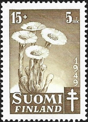 1949 TUB merkki Leskenlehti 15  + 5 mk ** LaPe 367