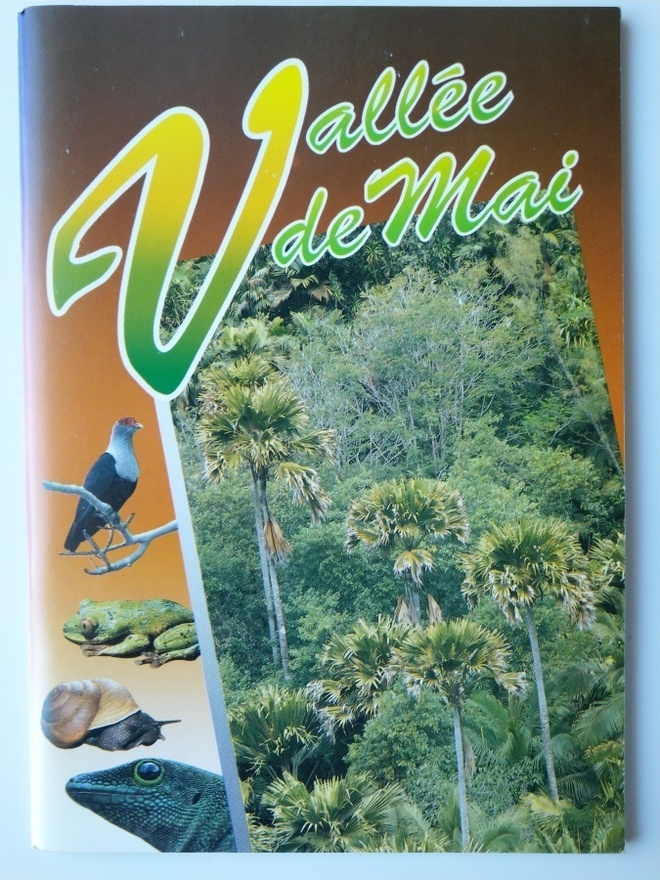 Katy Beaver & Lindsay Chong Seng: Vallée de Mai Seychelles