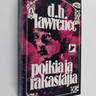 D. H. Lawrence : Poikia ja rakastajia - pikkukuva 1