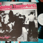 THE FABULOUS THUNDERBIRDS ~ Powerful Stuff ~ LP - pikkukuva 1