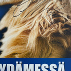 TEAM FINLAND  Taulu  Olli Määttä  AUTOGRAPH - pikkukuva 2
