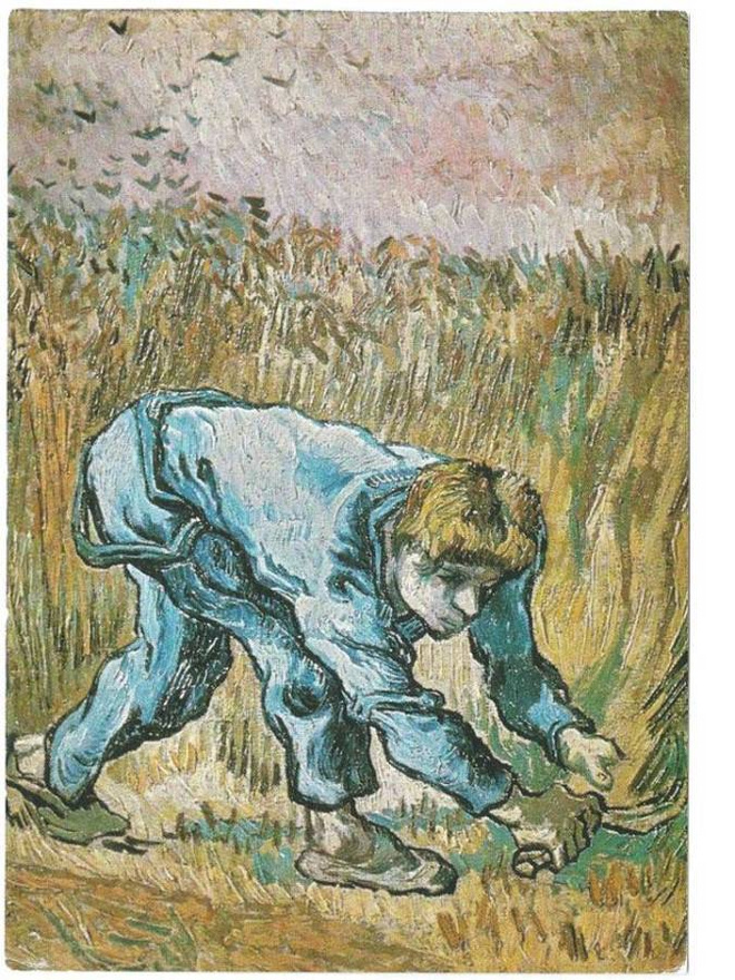 kortti ** Gogh Vincent van Luonnossa - erilaisia
