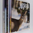 Metsästäjä 1-6/2002 - pikkukuva 1