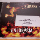 Nirvana - Aneurysm PROMO - pikkukuva 1