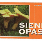 Karisto - SIENIOPAS, 301 s., 124 sienen esittelyt värikuvin - pikkukuva 1