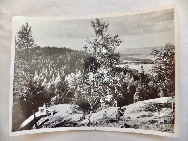 VANHA Postikortti Koli 1959 Yläkoli Rivileima