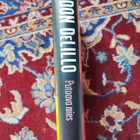 Putoava mies Don Delillo - pikkukuva 3