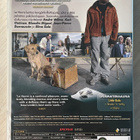 Aki Kaurismäki: LE HAVRE (2011) uusi ja muoveissa - pikkukuva 2