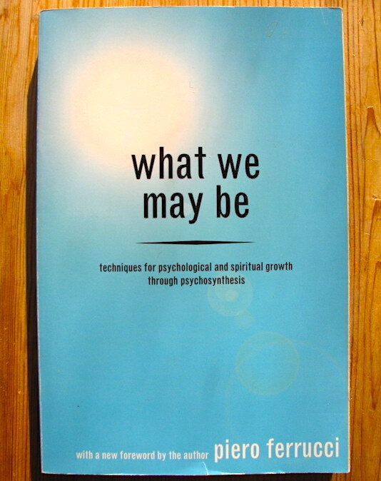Ferrucci: What We May Be