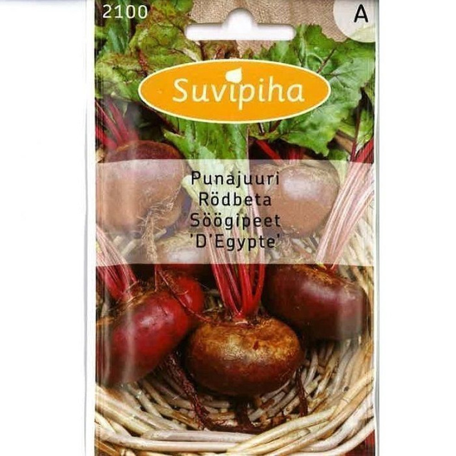 Punajuuri  siemenet "D´Egypte" #