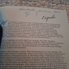Kivi Larmola-Nikolai Gogol-Päällystakki - pikkukuva 3