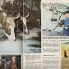 Karjatalous n:o 9 1972 Kalevi Rouvinen. Kiuruvesi.  Norja. - pikkukuva 2