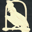 Wanha - Kaunis lintu - kakadua - 1900-l alku - pikkukuva 2