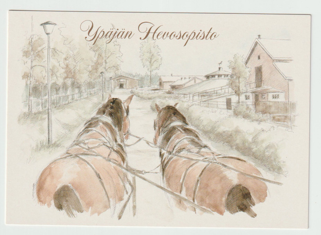 Leena Nikkanen :Ypäjän Hevosopisto  (R)