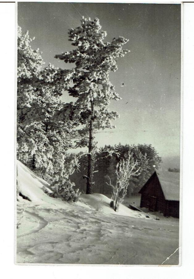 Kivennapa, Karvala