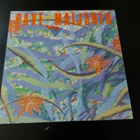 PAVE MAIJANEN - PALAVA SYDÄN ( LP . VINYYLI ) - pikkukuva 1