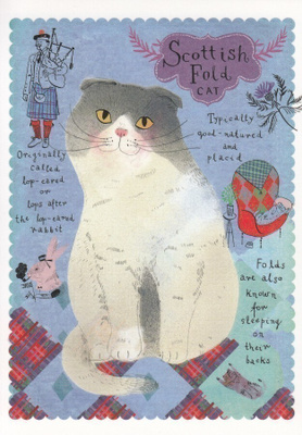 Marianna Sztyma: Scottish fold (isohko kortti)