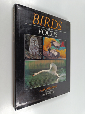 Mark Carwardine : Birds in Focus
