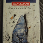 Vexi Salmi: Siniset mokkakengät - pikkukuva 1