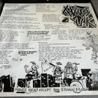 CHAOS U.K. & EXTREME NOISE TERROR: Earslaughter Lp levy - pikkukuva 2