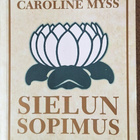 Sielun sopimus - Elämän tarkoituksen etsijälle - pikkukuva 1