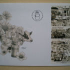 FDC Maalaisromantiikkaa 08.03.2010 - LaPe V85 - pikkukuva 1
