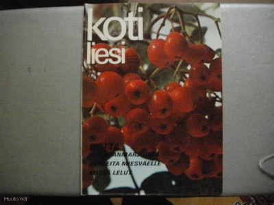 Kotiliesi Nro 17/1971 (20.3)