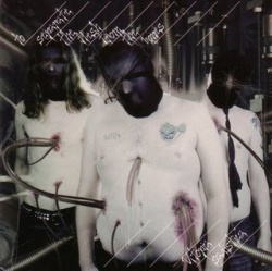 To Separate The Flesh From The Bones - Utopia Sadistica (CD)