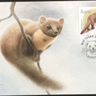 kortti ** Åland Luonto maksimikortti tai FDC - erilaisia - pikkukuva 1
