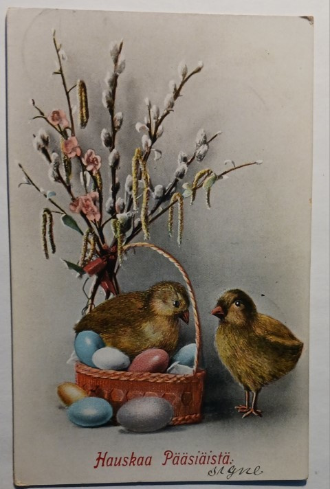 Tiput, munia korissa, pajunkissoja, Pääsiäispk, 1916 + sens.