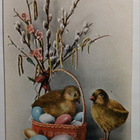 Tiput, munia korissa, pajunkissoja, Pääsiäispk, 1916 + sens. - pikkukuva 1