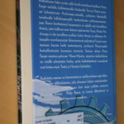Philip Reeve : Kadotettu manner ( 1.p. 2005 k.po ) - pikkukuva 2