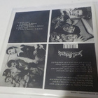 WIDOWS - WE'RE COMIN' M-/M- 7'' SINGLE - pikkukuva 2