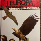 ROVFÅGLAR I EUROPA - pikkukuva 1