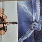 Pink / LeBron James-juliste - pikkukuva 2