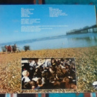 MERTON PARKAS ~ Face In The Crowd ~ LP - pikkukuva 2