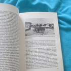 TORNIONLAAKSON VUOSIKIRJA 1992 ( hienokuntoinen kirja - pikkukuva 3