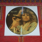 Bon Jovi 12" MAXI Interview Picture Disc - pikkukuva 1