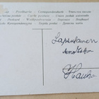 Lapset, lumiukko, possu ja kukkia, Uusi Vuosi, k-k. 1909 - pikkukuva 2