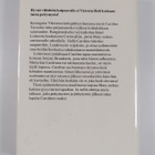 Victoria Holt : Kohtalon naamiohuvit - pikkukuva 2